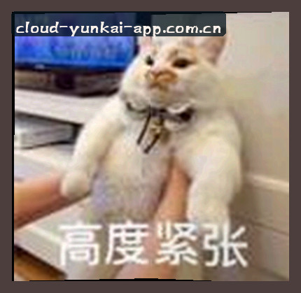 周宇