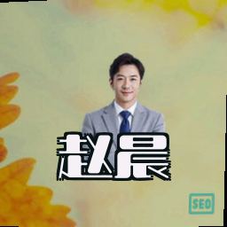 赵晨